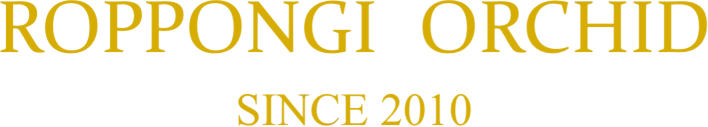 ROPPONGI ORCHID SINCE2010
